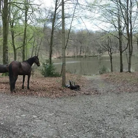 Le Pavillon De Gouffern 3*