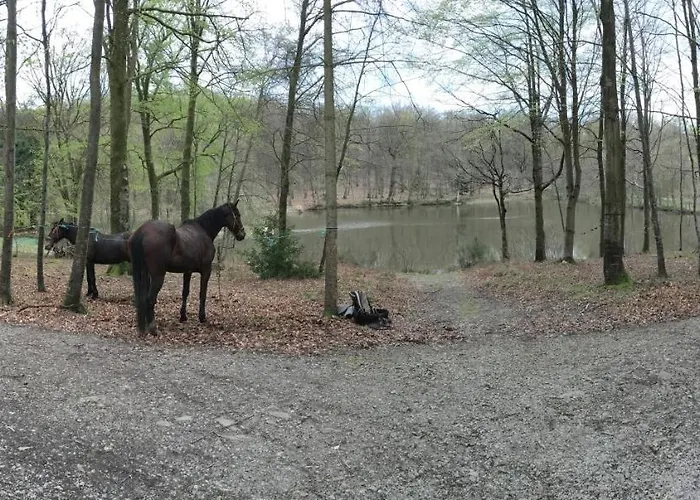 Le Pavillon De Gouffern 3*